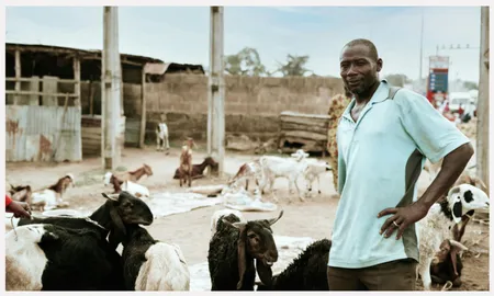 Livestock Farmer