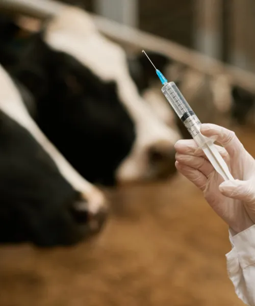 Veterinary and Health Compliance