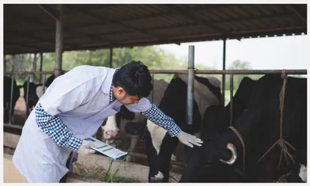 Veterinary professionals
